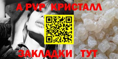 стафф Анжеро-Судженск