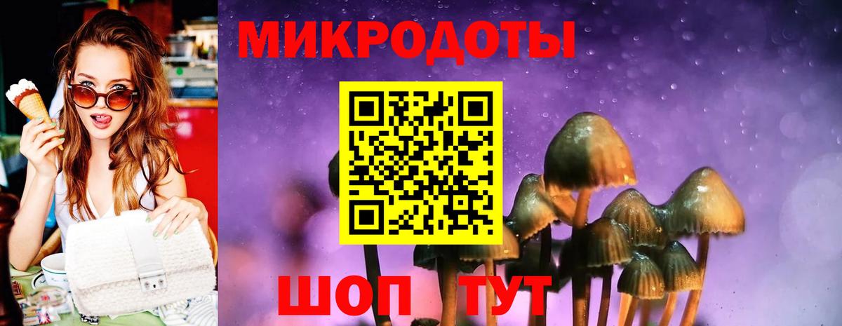 закладки  Вход с VPN  Магадан  Галлюциногенные грибы прущие грибы 